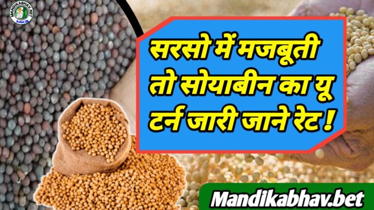 Soyabean Mustard Commodities Price