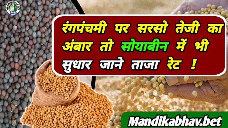 Soyabean Mustard Commodities Price