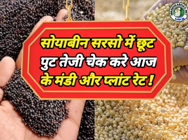 Soyabean Mustard Commodities Price
