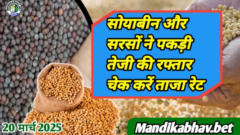 Soyabean Mustard Commodities Rate