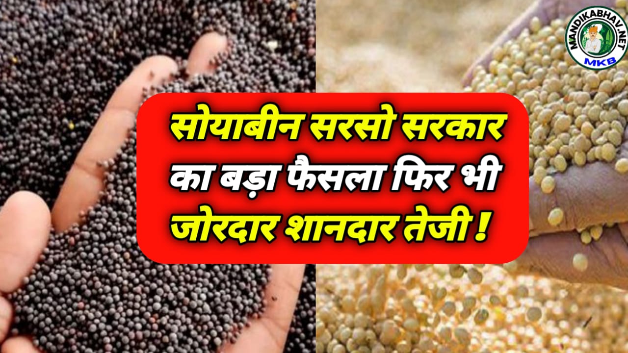 Soyabean Mustard Commodities Rate