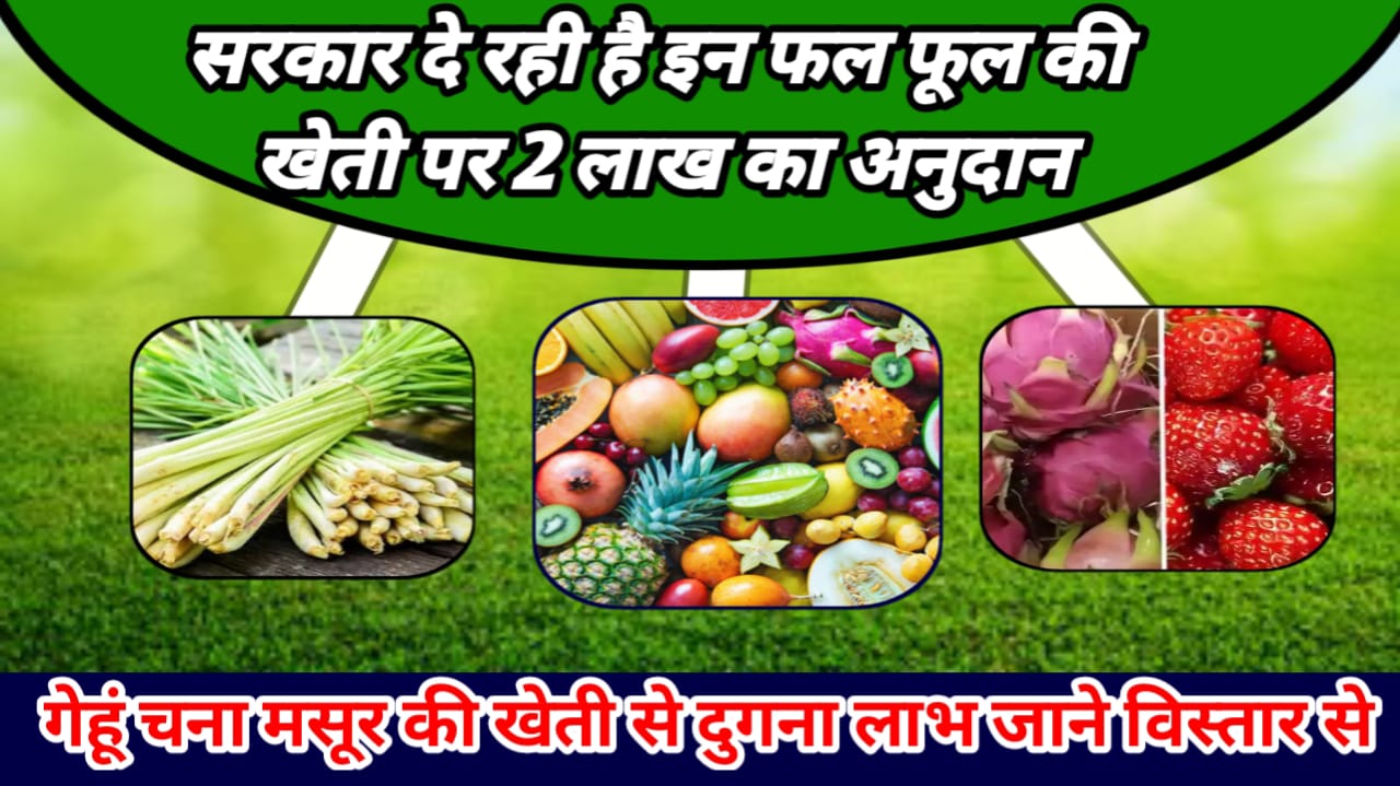 Subsidy Scheme