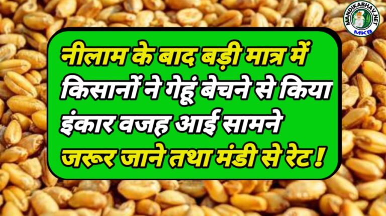 Wheat Commodities Rate