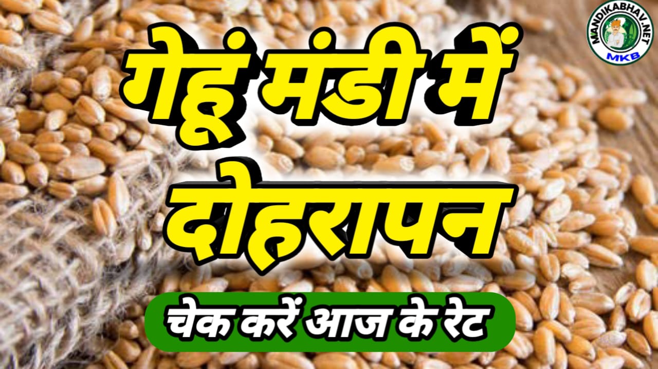 Wheat Commodities price