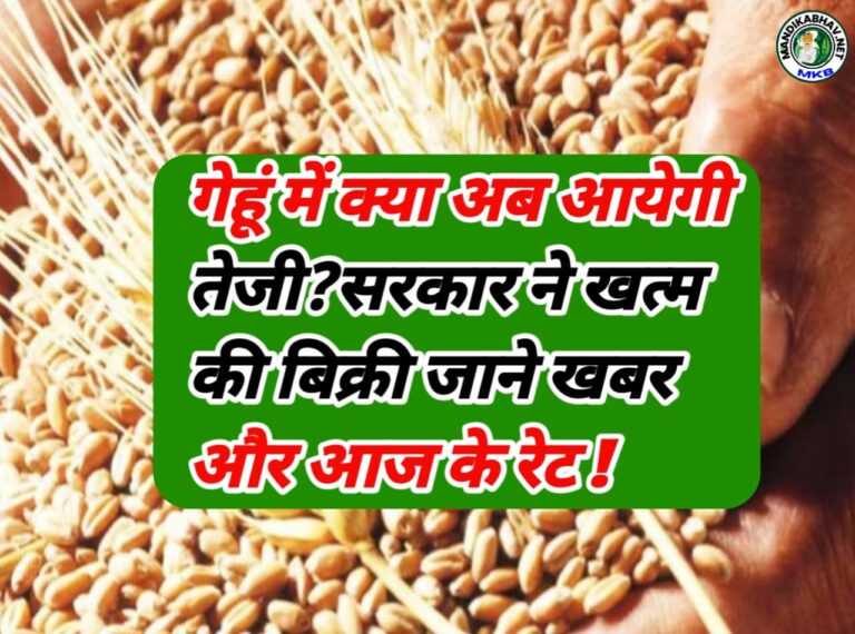 Wheat Commodities price