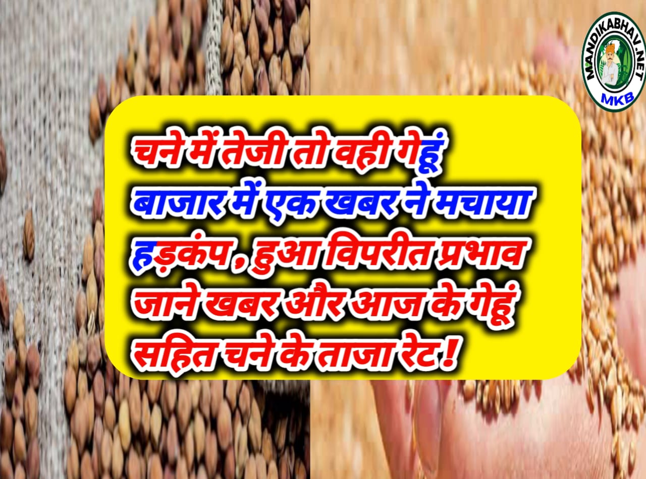 Wheat Gram Price