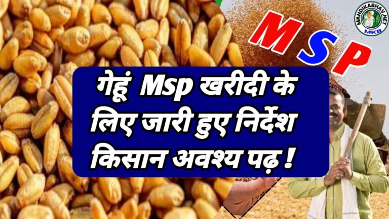 Wheat MSP Instruction