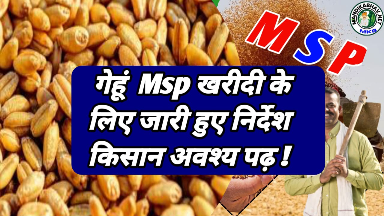Wheat MSP Instruction