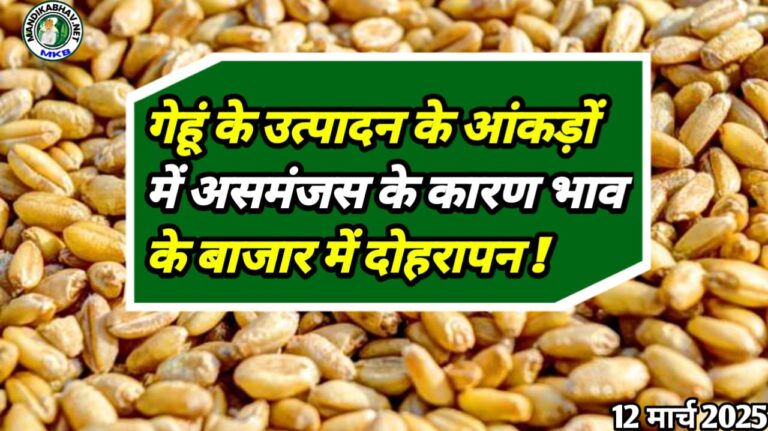 Wheat Mandi Price