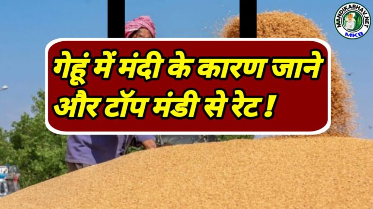 Wheat Market Rate