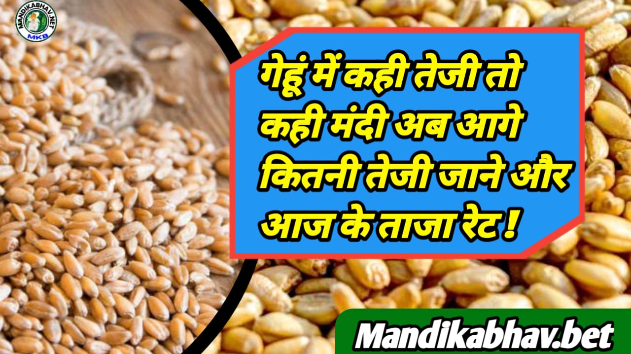 Wheat Rate
