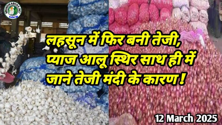 onion Garlic Mandi Price