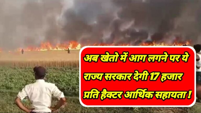 Farmer Financial Assistance