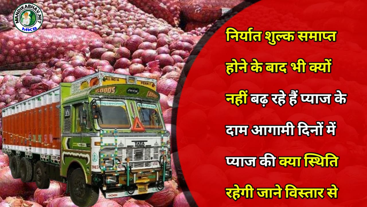 Onion Export Update