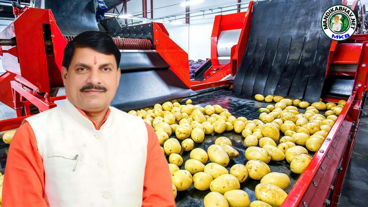 Processing plant