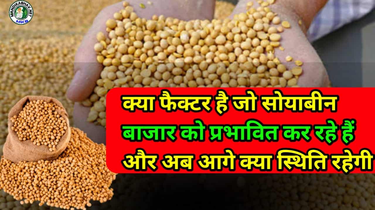 Soyabean Commodities News