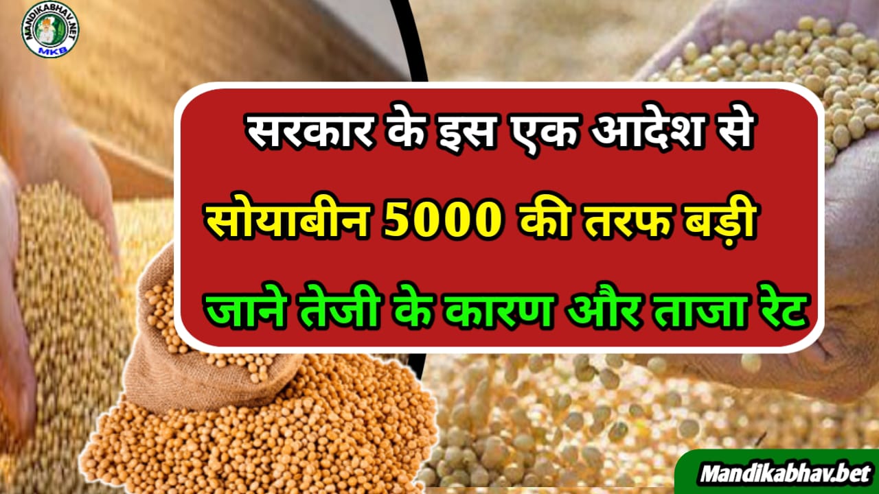 Soyabean Report 2025