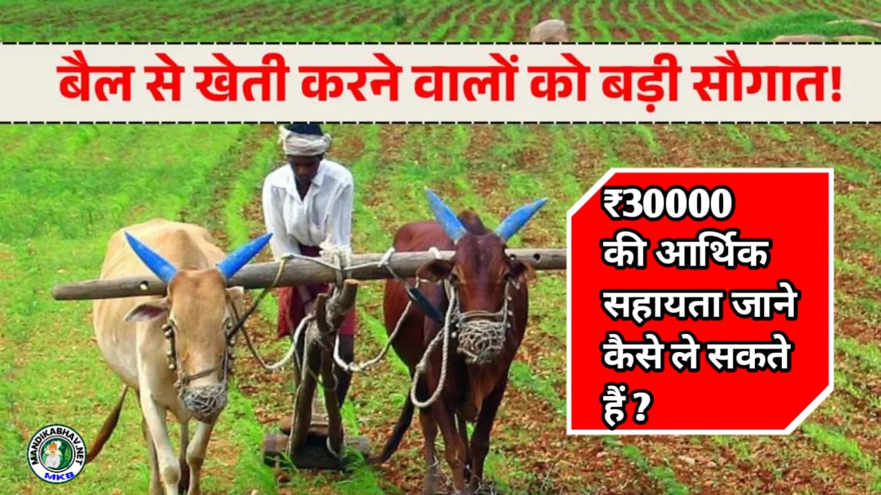Subsidy Scheme