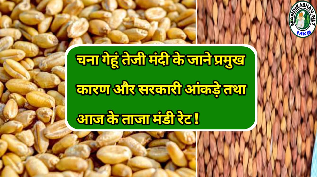 Wheat Gram Rate
