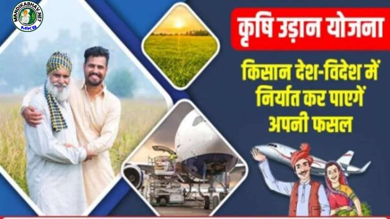 Agricultural Udan Scheme