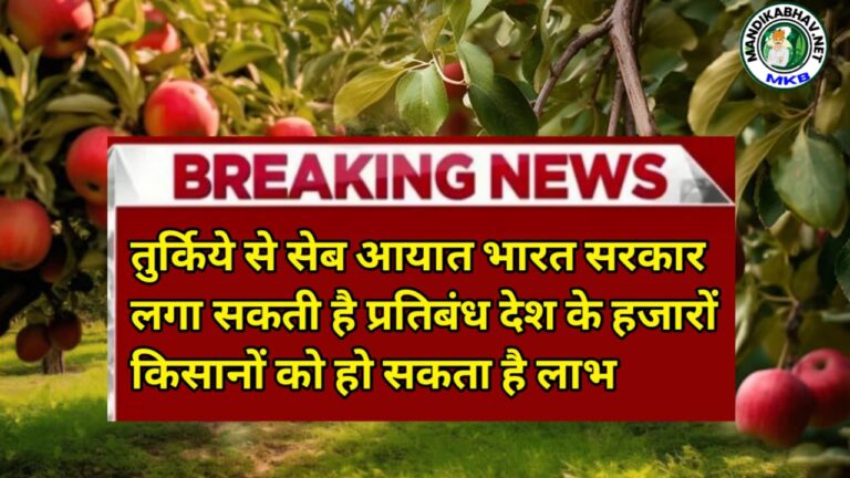 Apple inport News