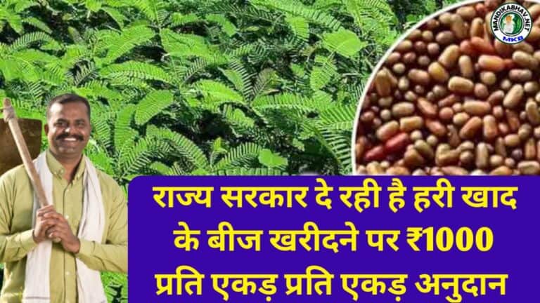 Dhaincha Cultivation Subsidy