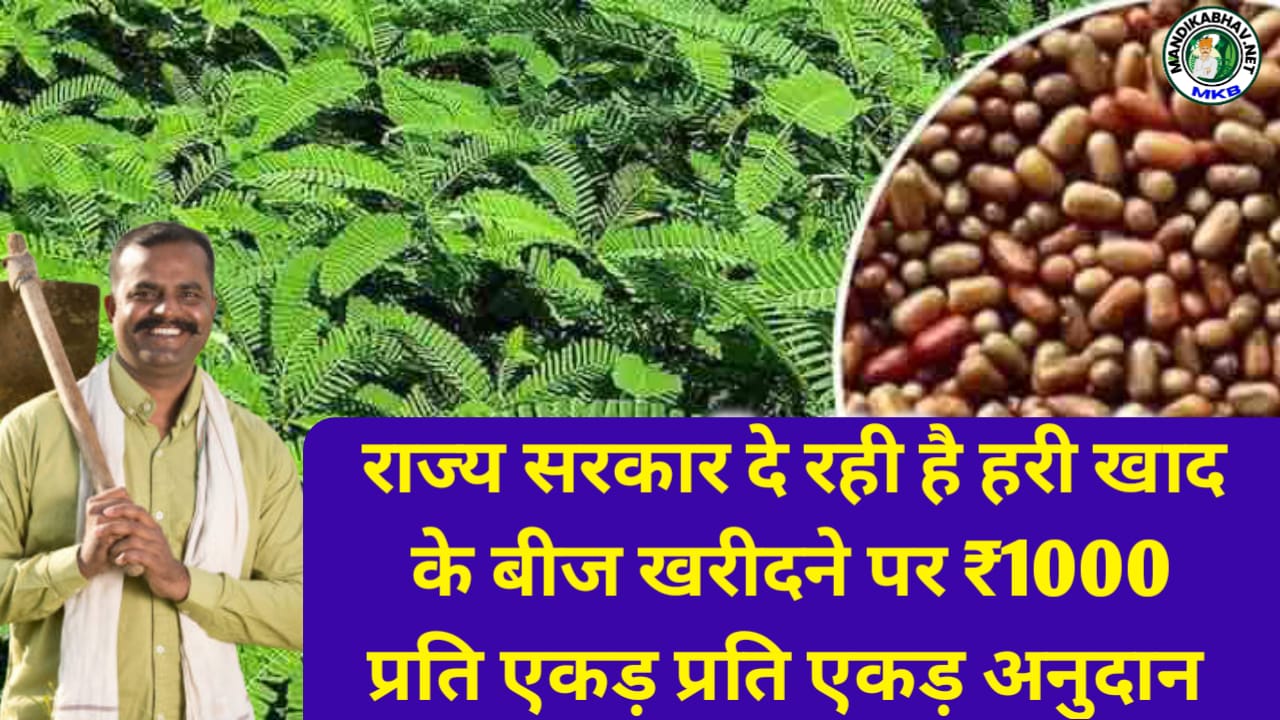 Dhaincha Cultivation Subsidy