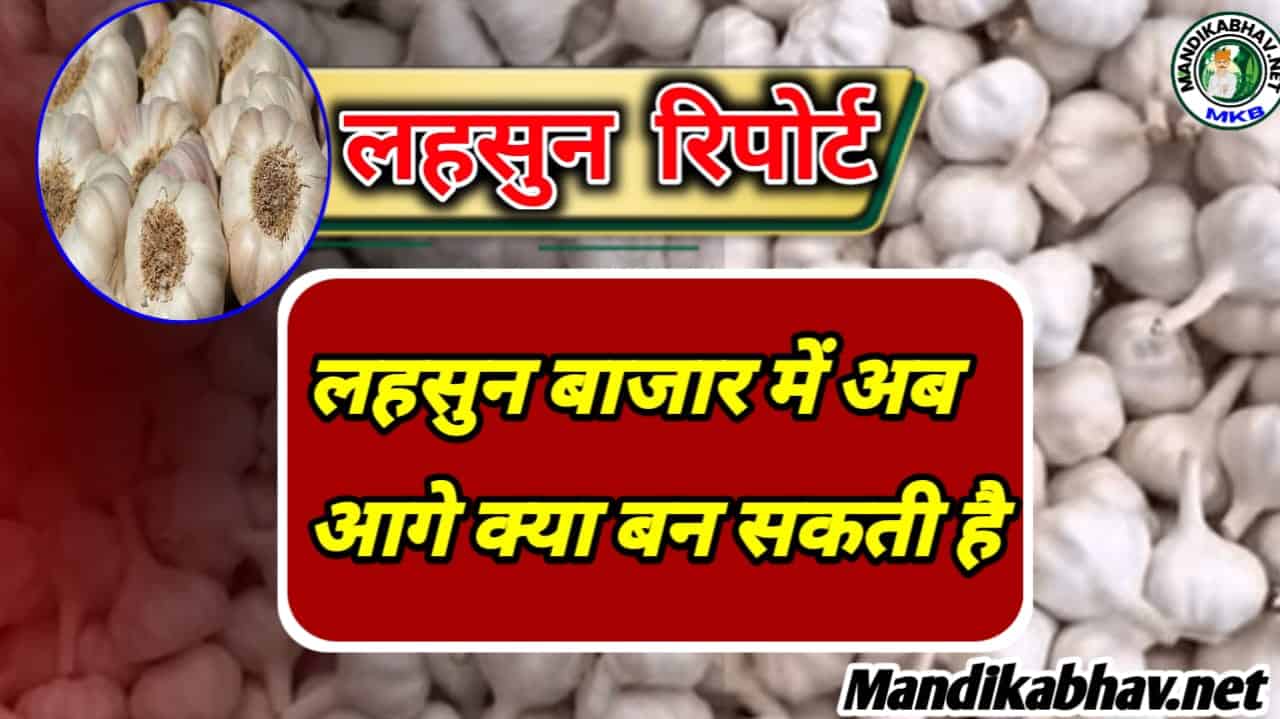 Garlic Rate