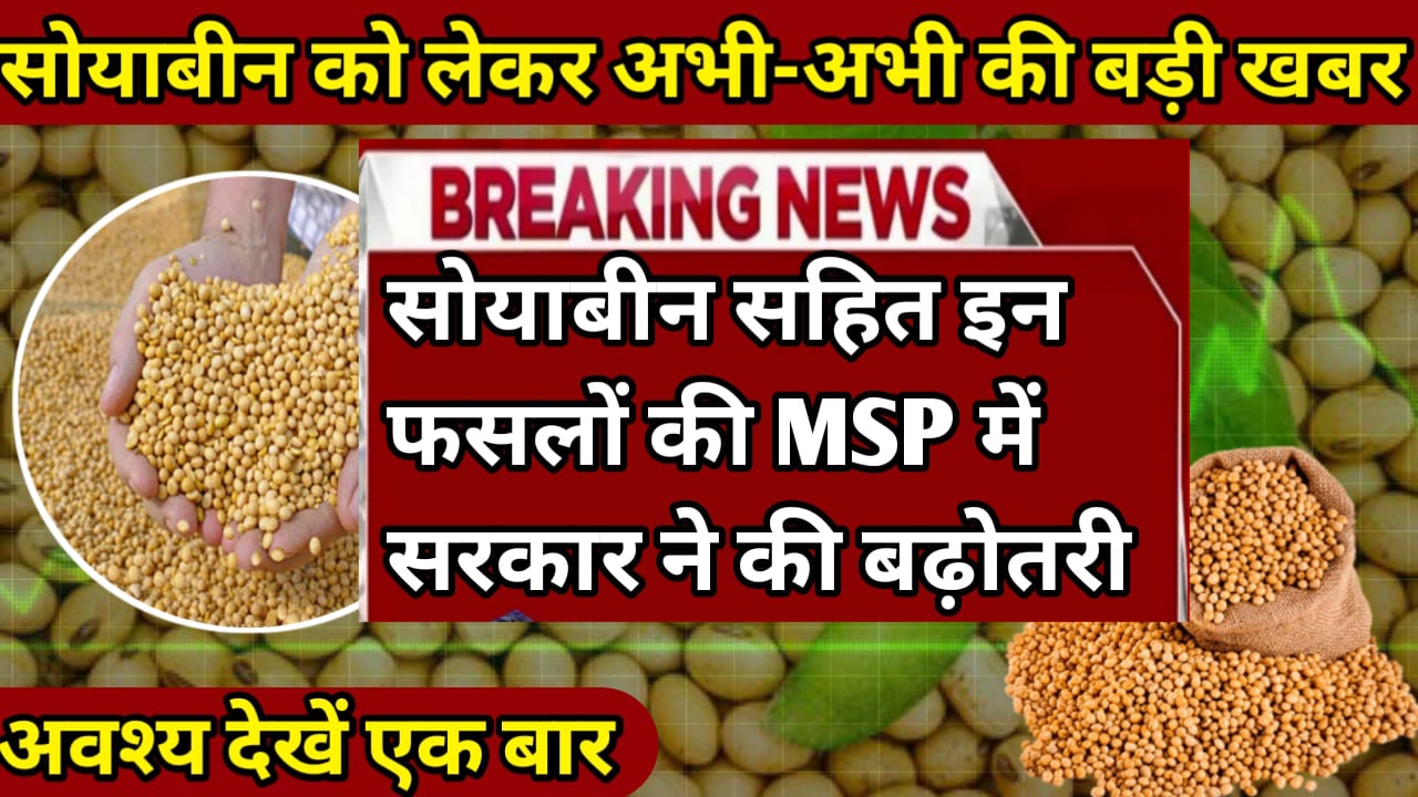 MSP 2025 Declared