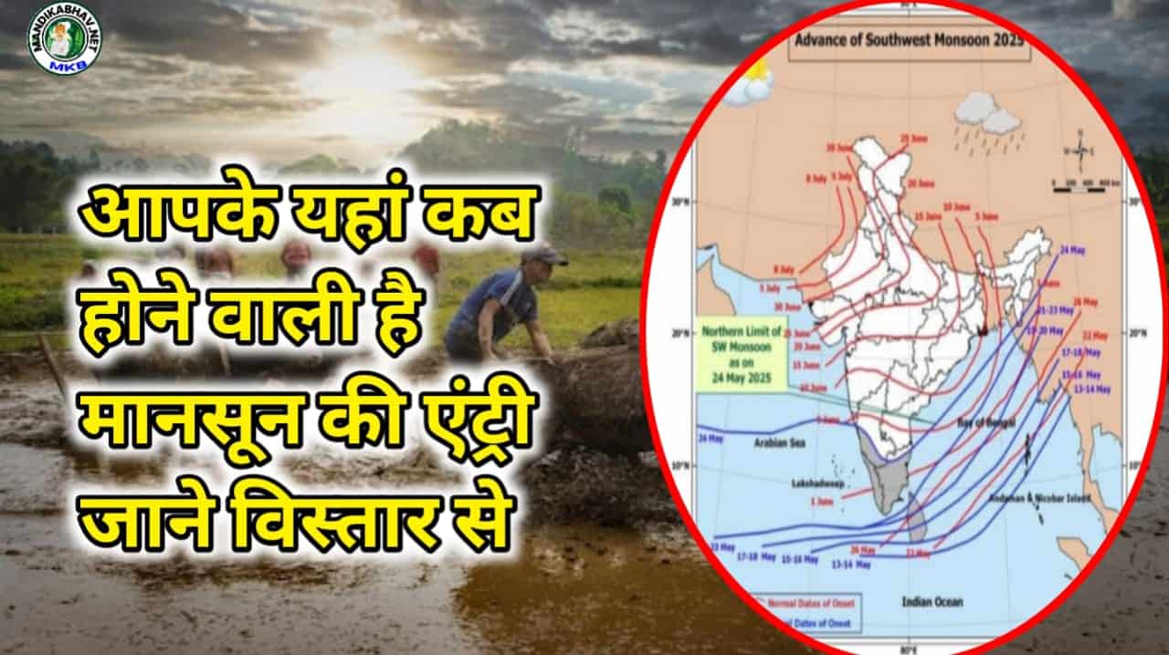 Mansoon Forecast