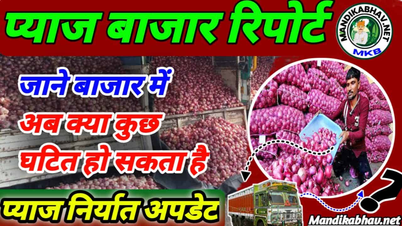 Onion Market Price