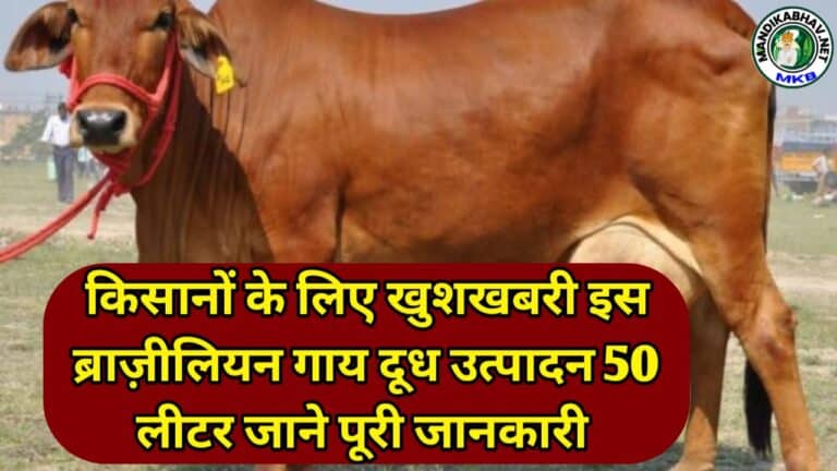 Rashtriya Gokul Yojana