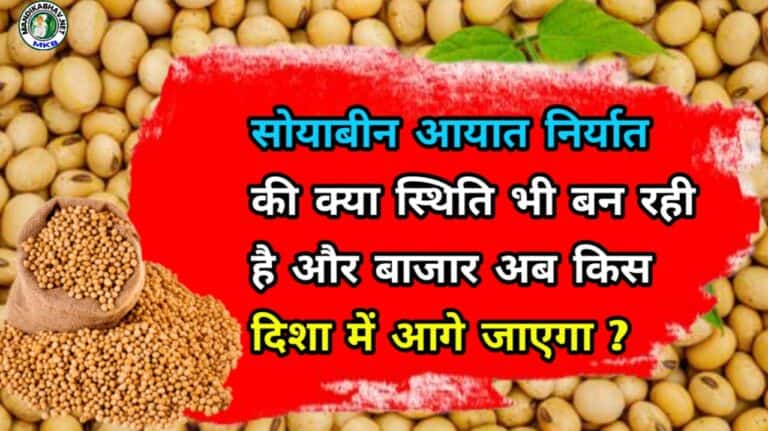 Soyabean Market Price