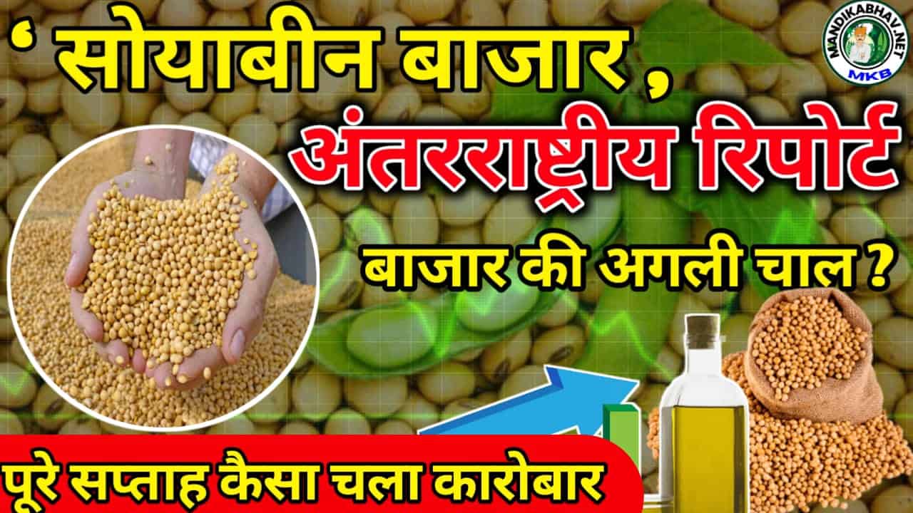 Soyabean Market Trand