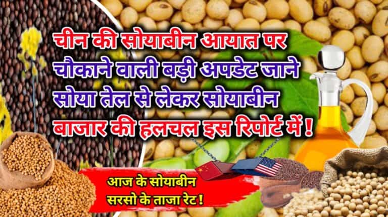 Soyabean Rate Today