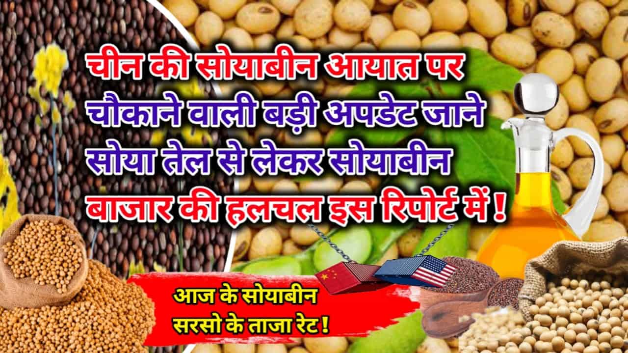 Soyabean Rate Today