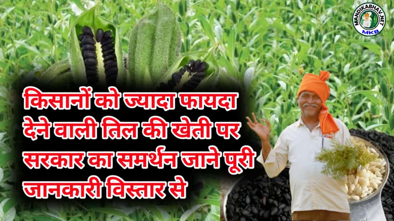 Subsidy scheme
