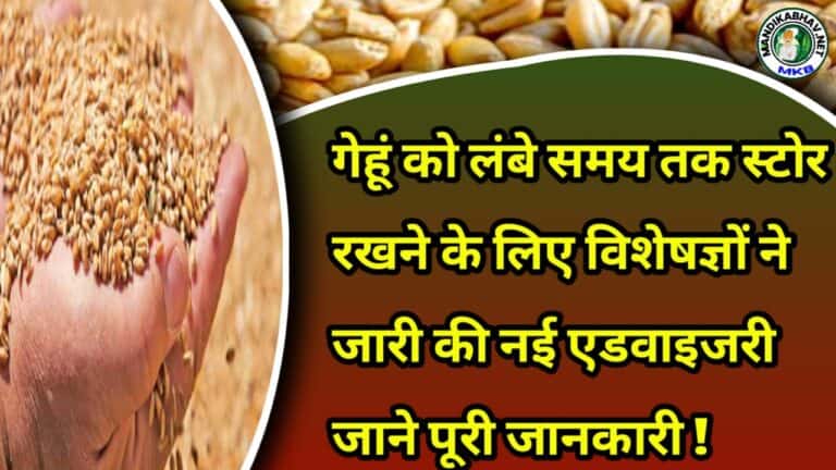 Wheat Storage
