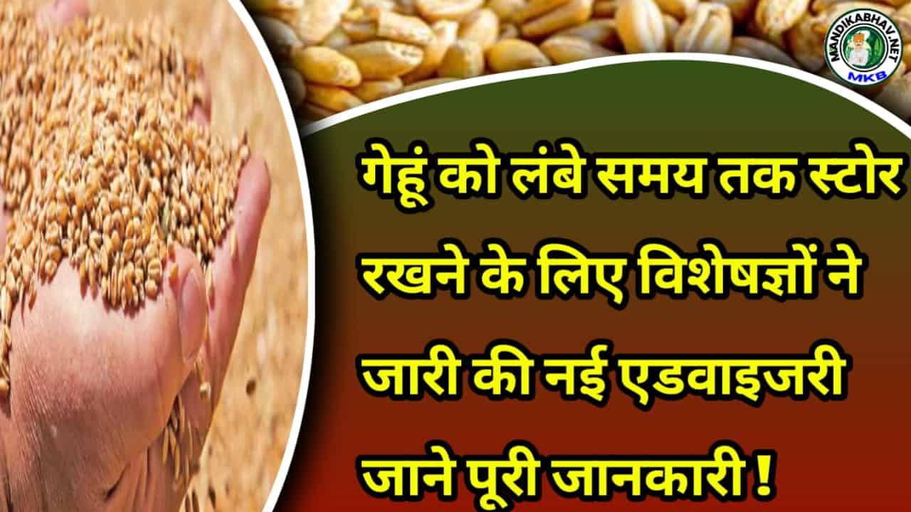 Wheat Storage