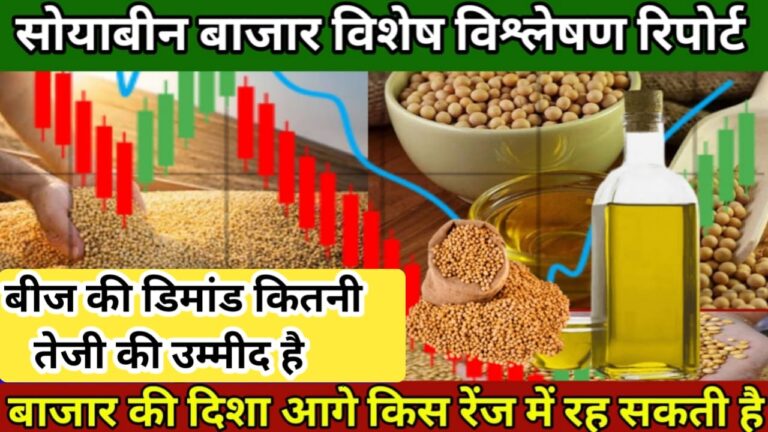 Soyabean Market Report