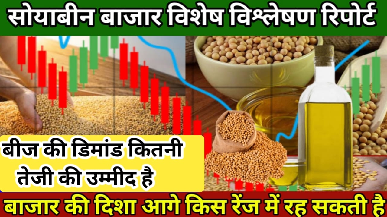 Soyabean Market Report