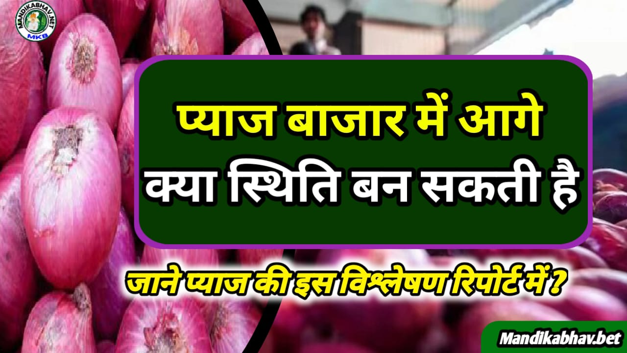 Onion market Update