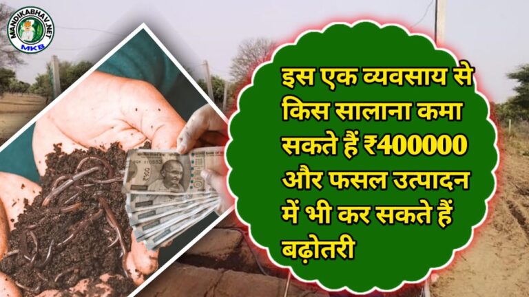 Vermi Compost Business