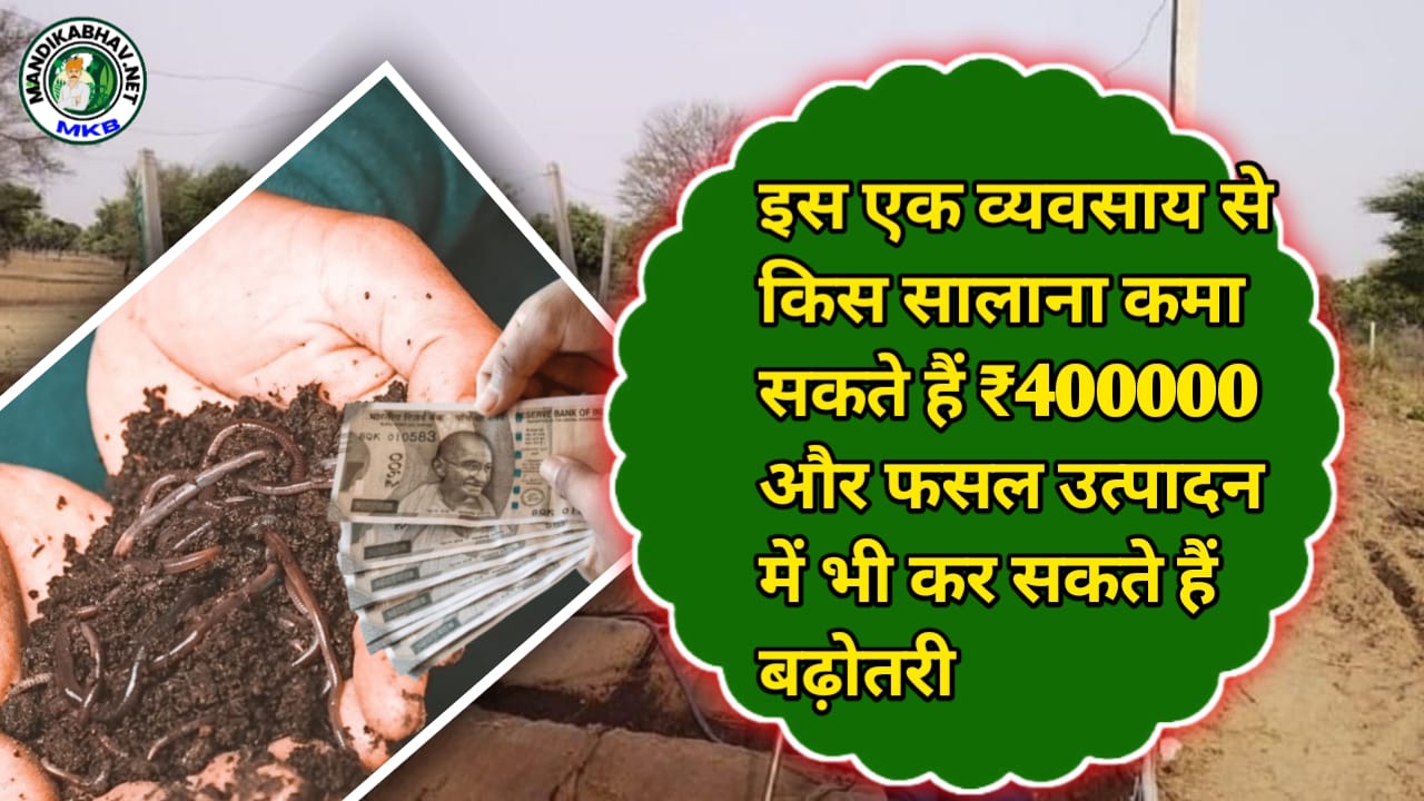 Vermi Compost Business