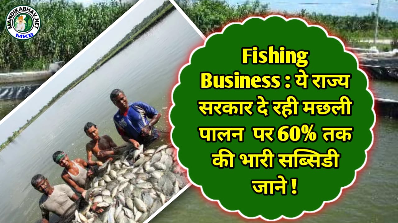 Fishing Business