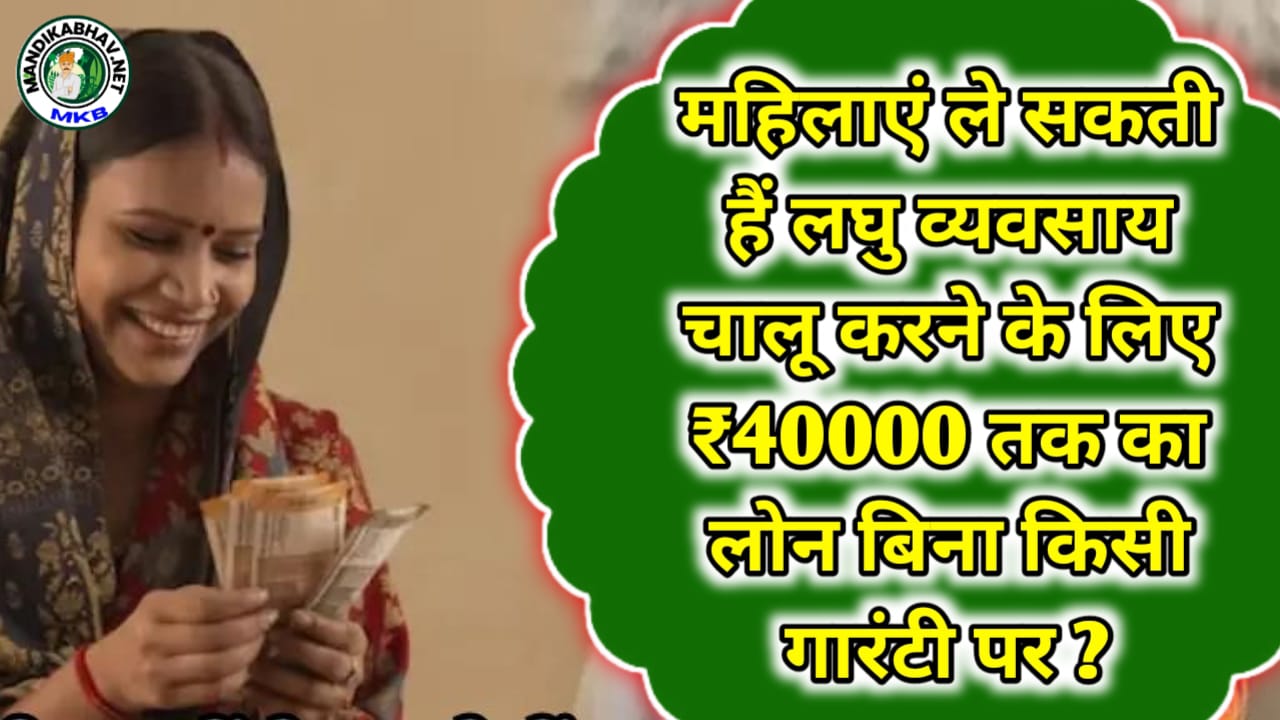 Ladli Behna Loan Scheme