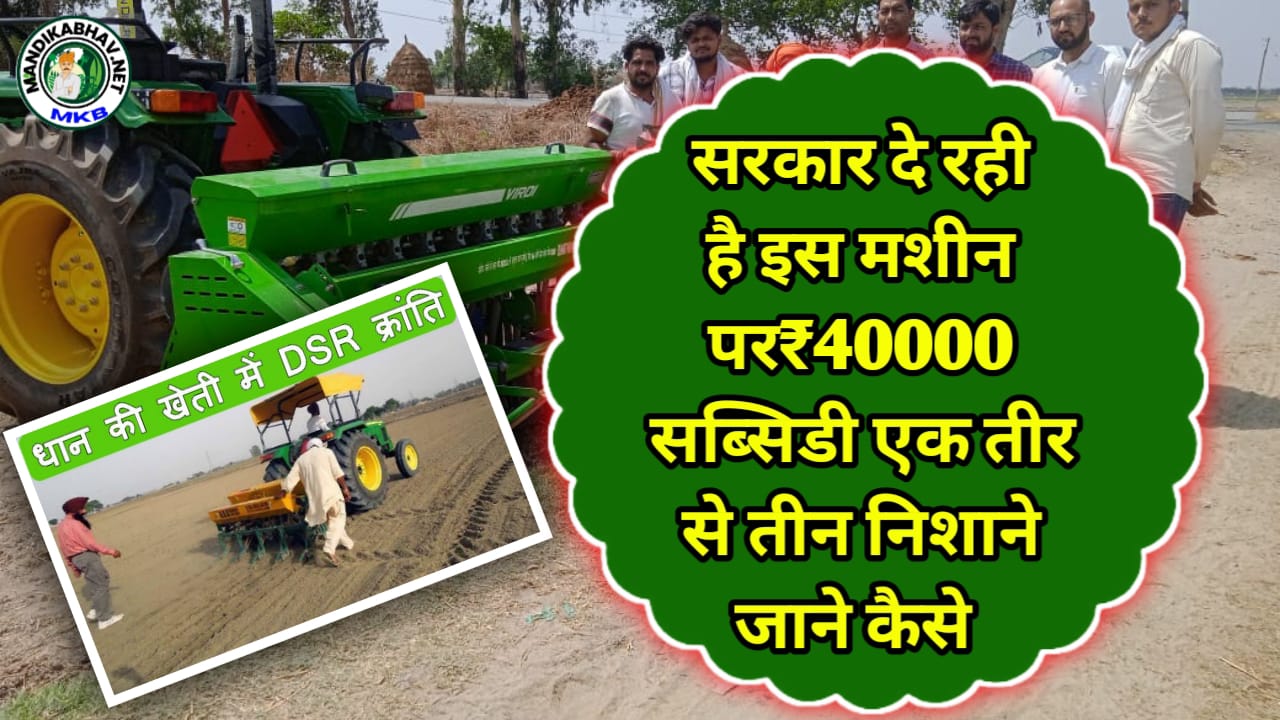 Paddy Subsidy