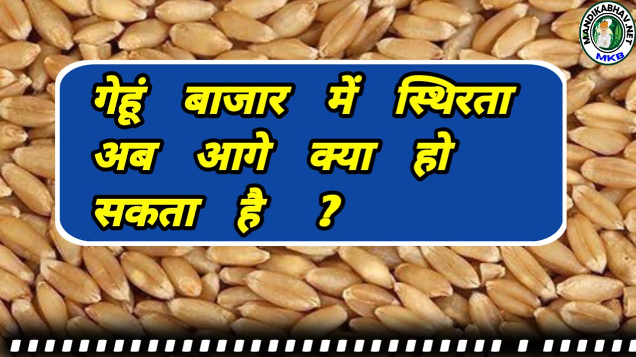 Gehu Price