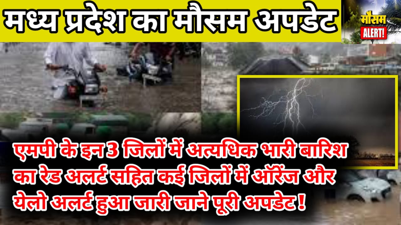 MP Weather Forecast