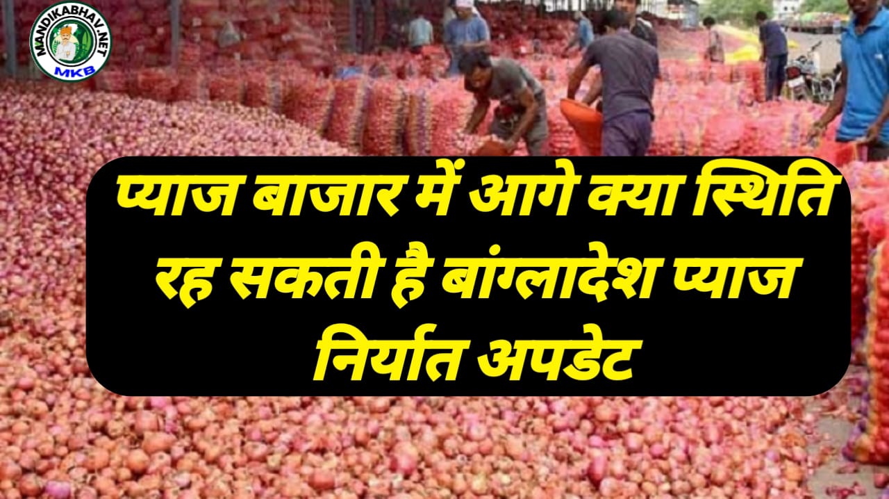 Onion Market Report